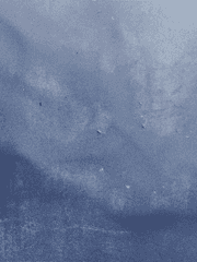 사탕가게의 사탕들