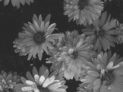 하늘 위 불면증-'엔딜 딜라이트' 독백