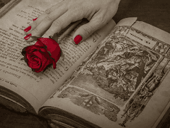 나는 밤을 밝힐 테니,