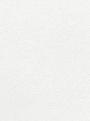 전지적 트레이너 시점 (드림)