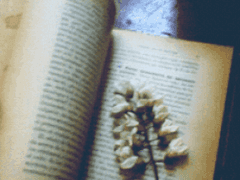 사랑하는 나의 구원아,