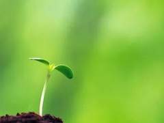 일말의 시도조차