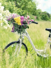 𝕄𝕒𝕪𝕕𝕒𝕪_