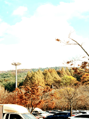 풍경사진 백업용