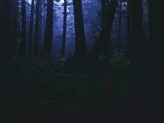 All is not gold that glitters.