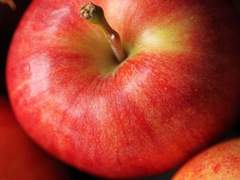 퍼펙트 매치 -C-