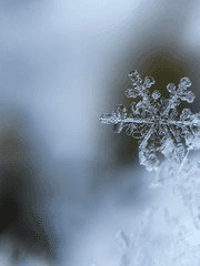 누군가의 본성 설정