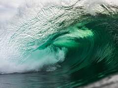 [ 이델라 C. 이포스 | 슬리데린 | XX | 공개 프로필 ]