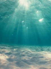 바다에게 바다가(일기장)