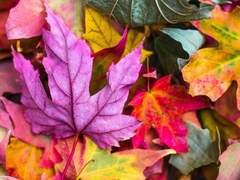 [랍딘] 님 잃고 외양간 고치기