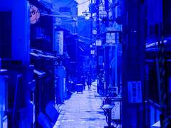 아름다움을 중요시했기에