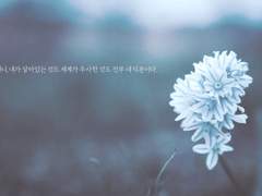 [네지텐텐] 애도(愛悼)