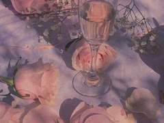 날씨가 좋아, 태양이 너무 눈부셔. 너는 그렇게 말했지. 야, 너무 좋아하지는 마. 저 태양이 너를 말려 죽이려 들 수도 있잖아.