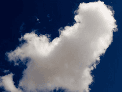 성화경찰서 익명게시판 - 3