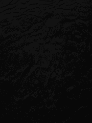 느와르 : 거짓 혹은 진실