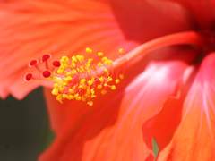 가위에 눌렸지 뭐야.