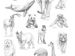 재미로 읽는 동물사전