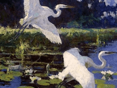 [루치캄파] 몽유병: 꿈의 감옥