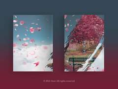 [분양완료] 56. 네가 없는 자리