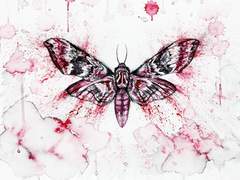 잔혹하게도 아름답다