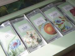 티포르테 플러: 자스민 그린