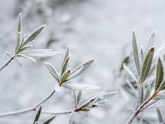 당신의 옆에 항상 있을,