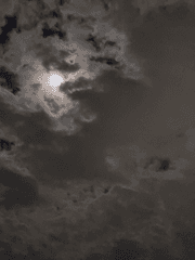 짝사랑에 대하여