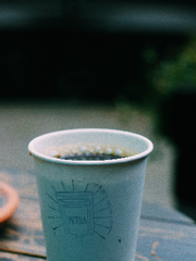 보기 드문 순정남