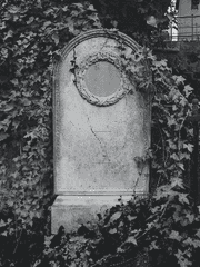 ?! 살아있는 송장이 걸어다닌다!