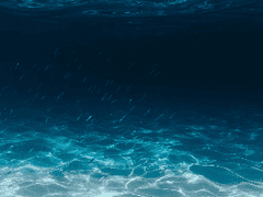 알바하기 싫은 글