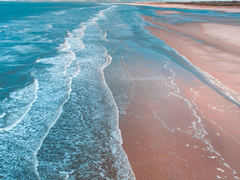 등장인물 차량 모음