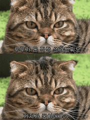 글방 합작볼수있는곳