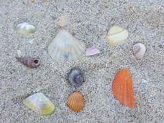 [MCU/로키 드림] Seashall. in <Timeless>