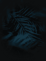 I loved you, I love you, I will love you