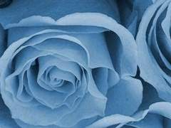 후에후키고교의 소소한 일상