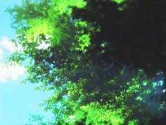 주작조 수상한 이웃집 -《하늘과의 추억》