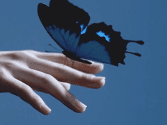 나비의 소녀 [ 2화 ]