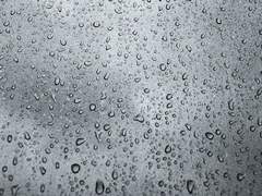 사라져버린 나의 ■■