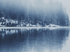 Tei zen (테이 젠)