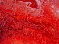 여화연 24 xx 3구역