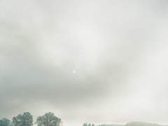 바람 앞 안개꽃, 일곱