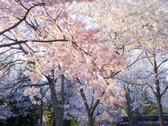 그러니 이 행복감을