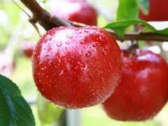 소설 쓰기 전 몸 풀기...