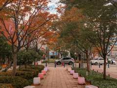 09.휴대폰 카메라로 사진 찍기