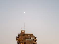 연애의 시선처리