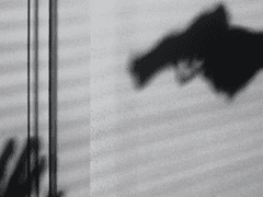 개에게 먹이를 주지 마시오.