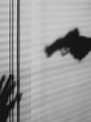 [BL] 개에게 먹이를 주지 마시오.