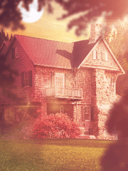 레오츠카 장편 소설 Le soleil sous, toi et moi