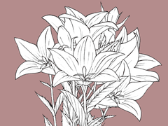 백혜련/XX/3학년