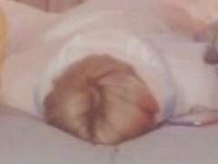 우렁(호랑)서방